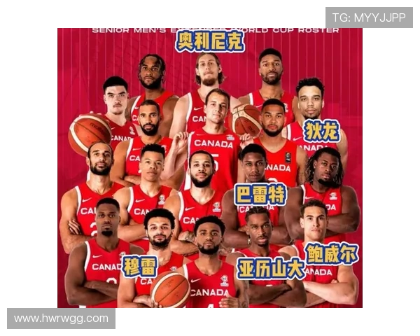 世界杯各国强力阵容分析及球员表现回顾